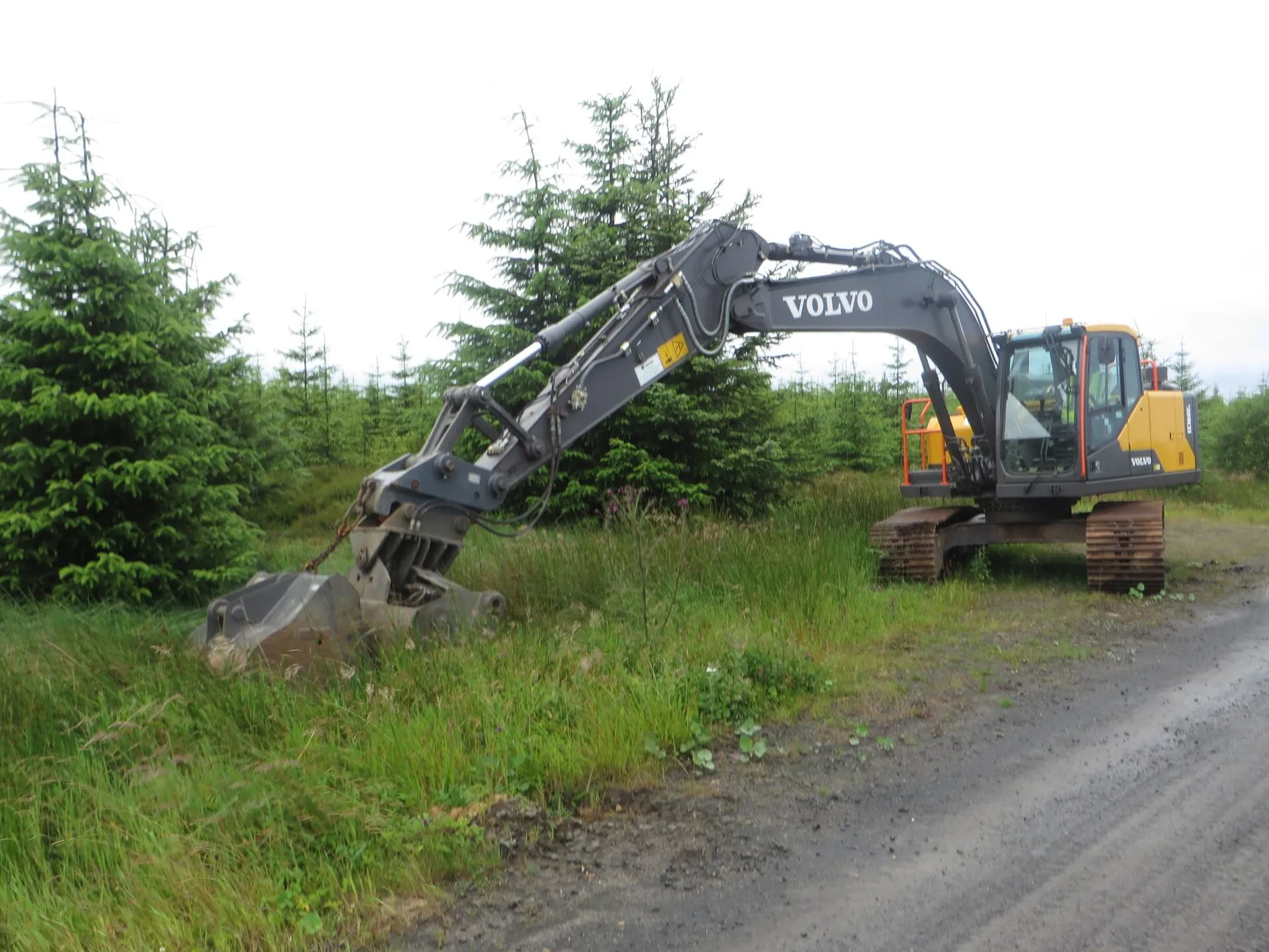 Wooded lot being cleared for a new build in Montgomery County, Texas